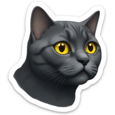 british shorthair cat in the Color black smoke with yellow eyes sticker