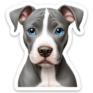 blue eyed blue nose pitbull puppy dog portrait sticker
