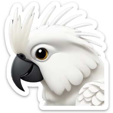 sulfer crested cockatoo  sticker