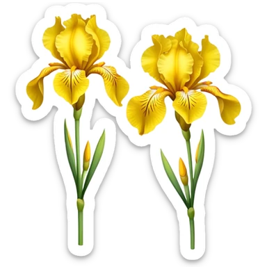 single Bright Yellow Iris, straight stem sticker