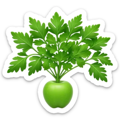 Apple style 3D emoji of fresh parsley, small green leaves with curly texture, shiny and smooth, simple toy-like look, similar to official Apple food emojis. sticker