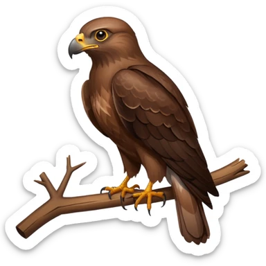 common brown buzzard sticker