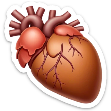 A liver (the organ) sticker