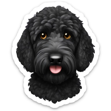Black golden doodle with white spot on chest  sticker