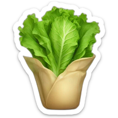 Lettuce wearing its freshness sticker