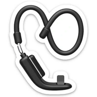 Ergonomic Carry Loop sticker