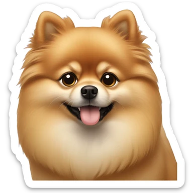 pomeranian  sticker
