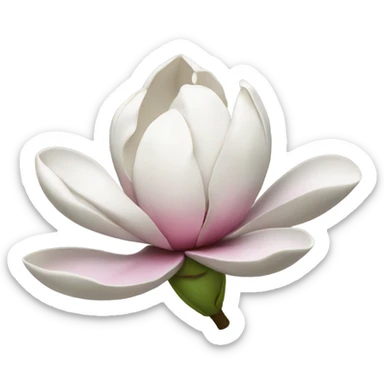 magnolia flower sticker