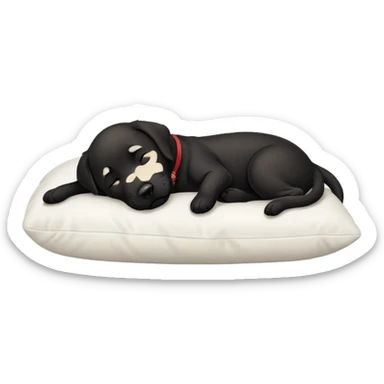 A cute black Labrador sleeping on a pillow. sticker