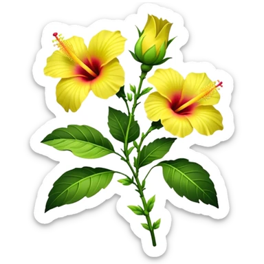 bouquet yellow Hawaiian hibiscus, luxuriant, stem, leaf, bud sticker