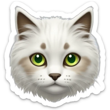 white fluffy bi-colour cat with dark brown ears and upper head, brown ears and green eyes sticker