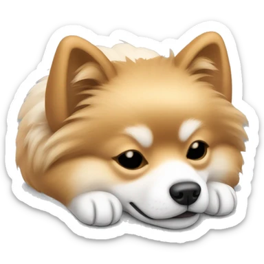 sleeping lying down pomeranian-spitz mix light brown and white with gray ears sticker