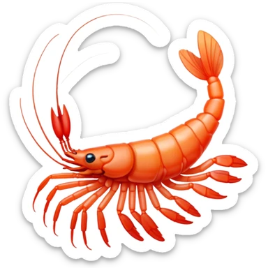 a shrimp studying the program code a shrimp studying the program code sticker