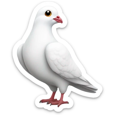 White pigeon with white heart sticker