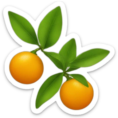 kumquat fruit sticker