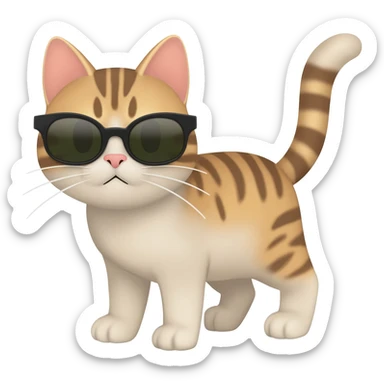 cat with sunglassess sticker