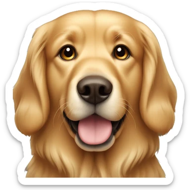 Golden retriever with brown snout sticker