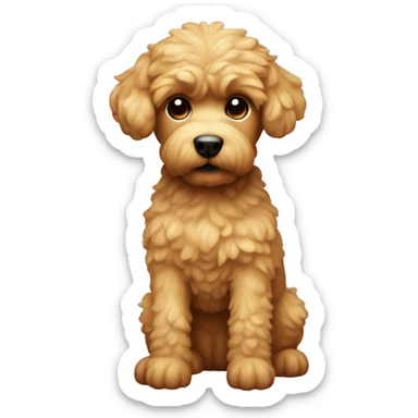 caniche toy rojo sticker