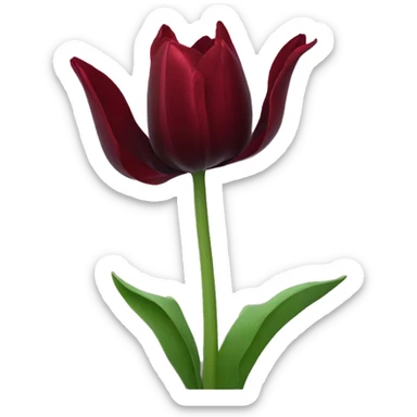 Dark red tulip sticker