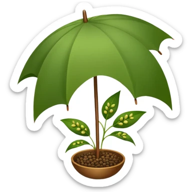 an umbrella like plant which has small seeds as a spice sticker