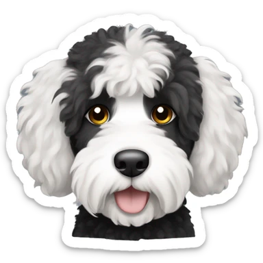 black and white sheepadoodle dog with short hair and brown eyes sticker