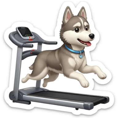 Husky running on a treadmill sticker