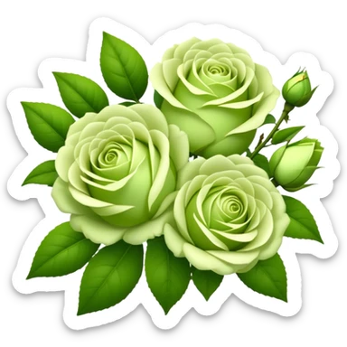 big bouquet Soft Green Tea Rose flower and bud, luxuriant, leaf, bud sticker