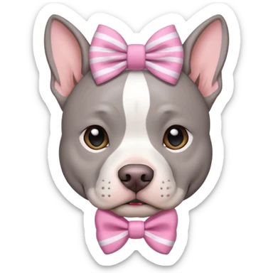 Fully Gray Pitbull with a white stripe on his head and a pink bow sticker
