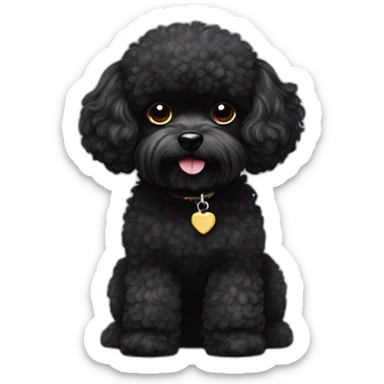 full black poodle maltese chihuahua small fluffy dog sticker