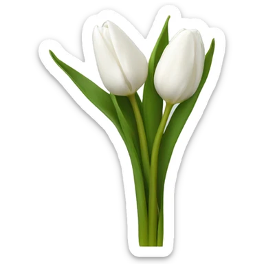 White tulips sticker