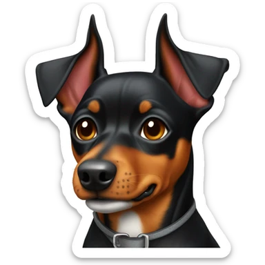 Pinscher reitet auf Friesen sticker