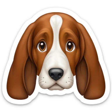 Basset hound sticker