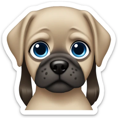 Brunette girl with straight hair and blue eyes with pug sticker