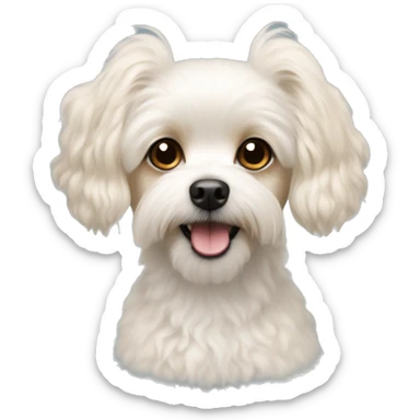 a maltese, poodle, chihuahua mix with crème color fur  sticker