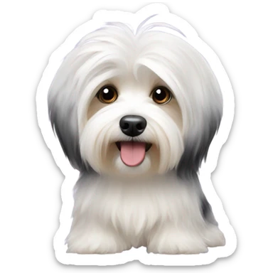 Havanese AKC dog show sticker