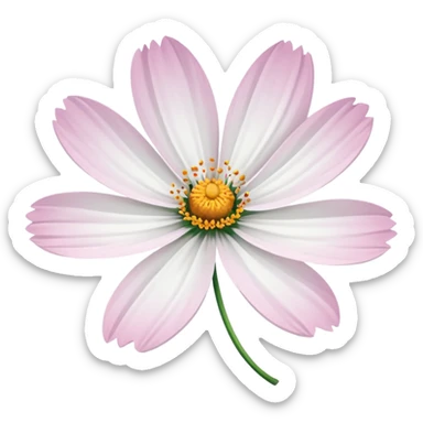 cosmos flower, white petals, delicate look sticker