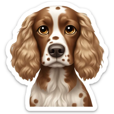 Cocker spaniel with a brown and white spots and hairs poking out on top of head  sticker