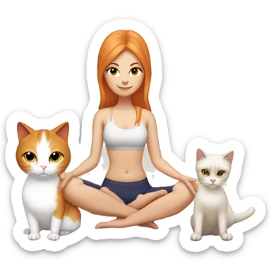 Yoga White girl  and one red cat and one birman cat sticker
