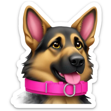 German shepherd with hot pink dog collar sticker