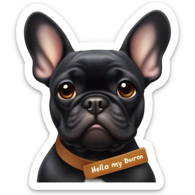 Mainly Black and a little Carmel colored french bulldog with a work name tag that says hello my name is bourbon  sticker