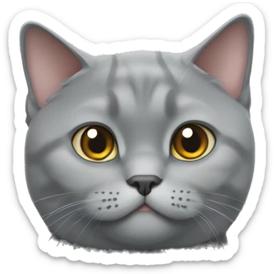 British shorthair grey cat sticker
