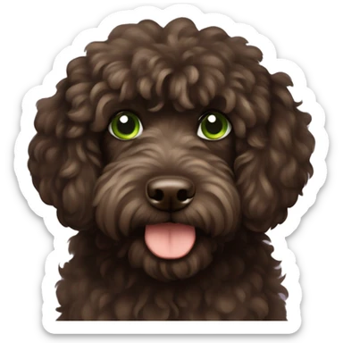 Dark Brown fluffy cockapoo with green eyes sticker