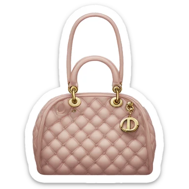 dior bags  sticker