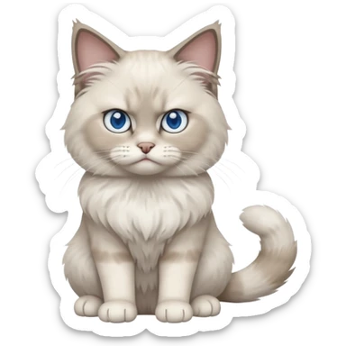 Angry blue eyed Ragdoll cat sitting full body sticker