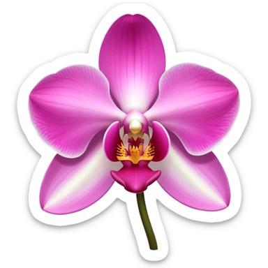exquisite-phalaenopsis-moth-orchid-with-pure-white-petals-and-subtle-pink-center sticker