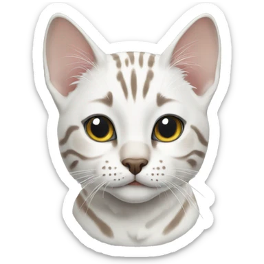 white bengal cat sticker