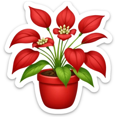 cornus sticker