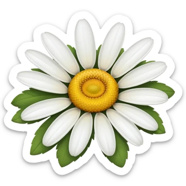daisy flower with white petals sticker