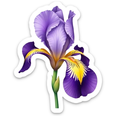 single Bi-Colored Iris, straight stem sticker