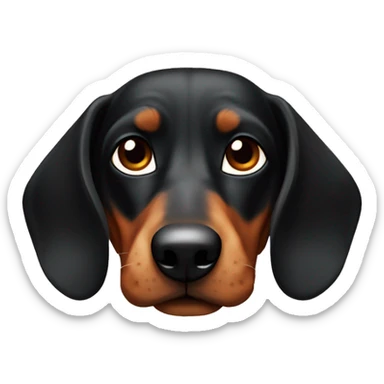 Teckel arlequin negro macho sticker